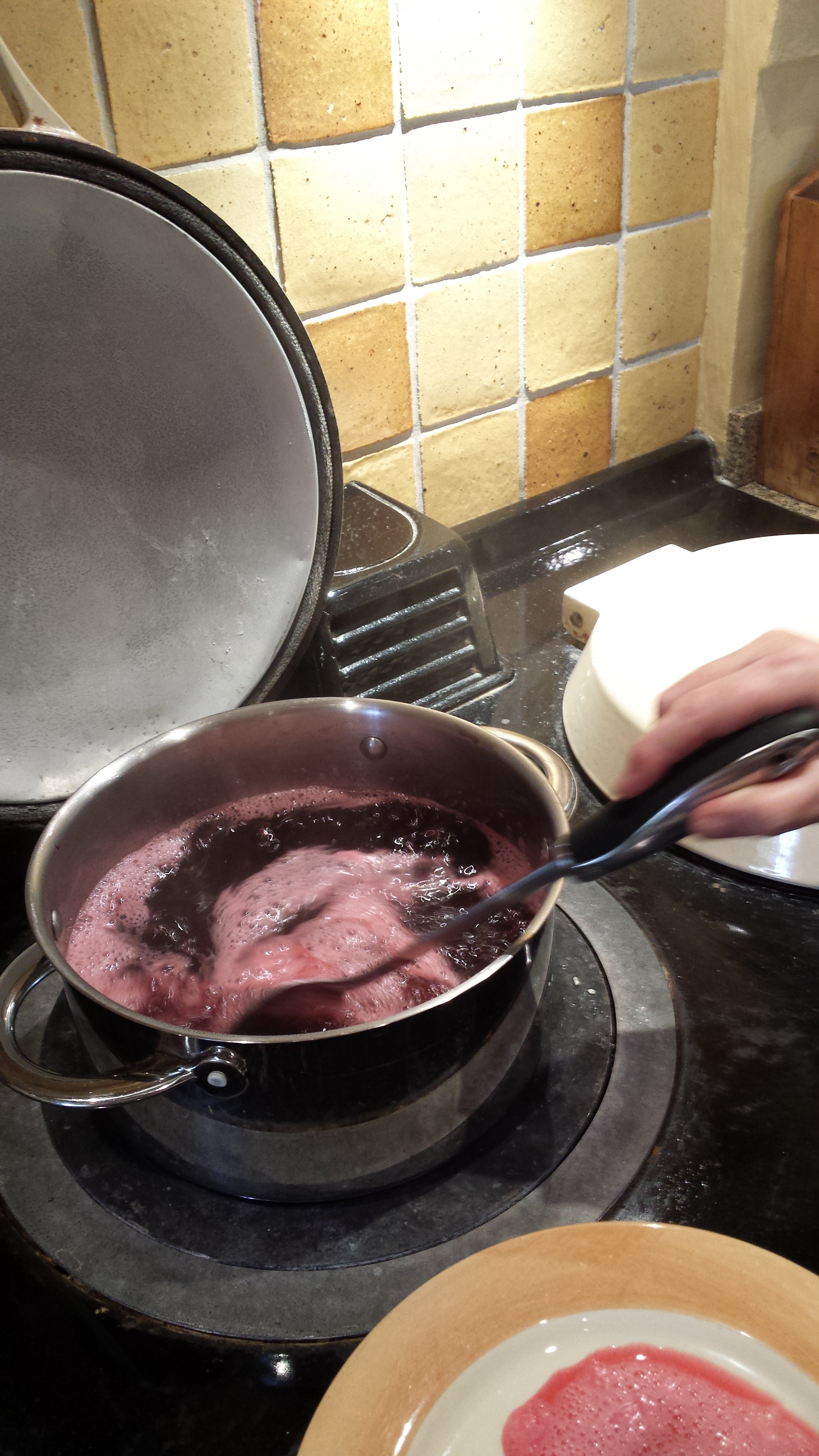 Making redcurrant jam - twool HQ