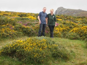Haytor with Kim and Andrew - Whiteface Dartmoor Sheep - twool