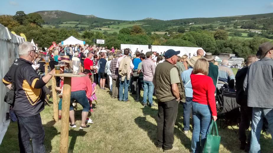 Widecombe Fair - twool