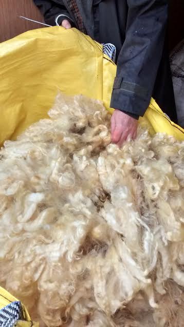 Adam Henson, Countryfile, Widecombe, Wool Week, Whiteface Dartmoor Wool