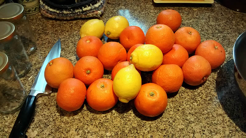 How to make your own marmalade, twool, dartmoor
