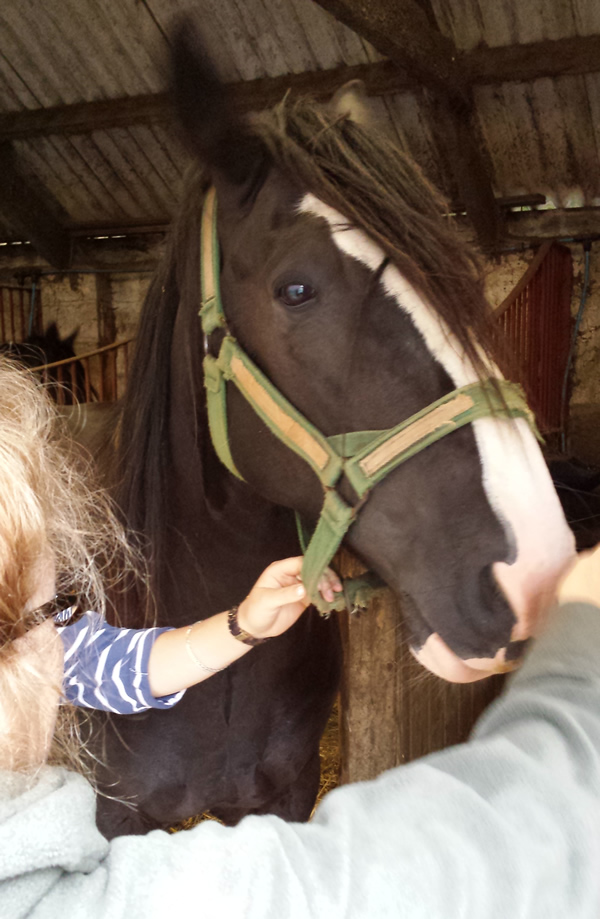 Kim met heavy horse