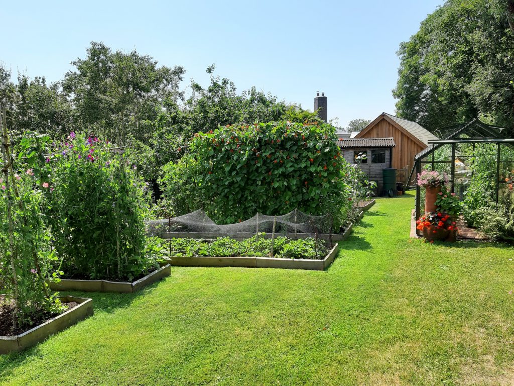 Garden at twool HQ, Ashburton, Dartmoor