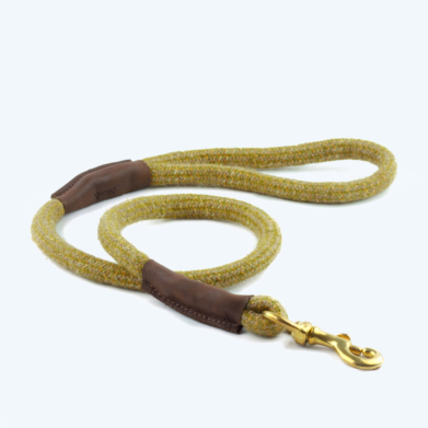 Mustard dog lead