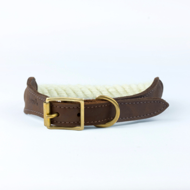 dog collar natural
