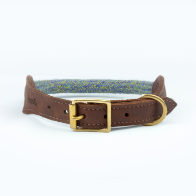 blue tweed dog collar