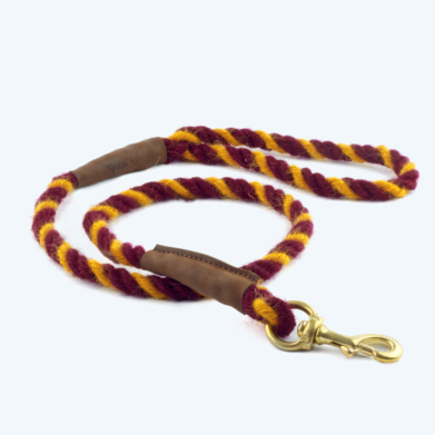 Gryffindor Dog lead