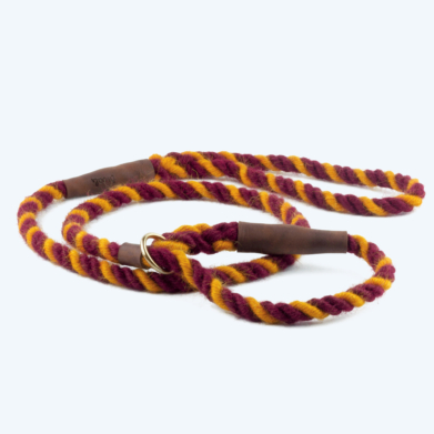 Gryffindor Slip Lead