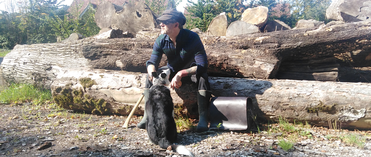 hat and dog slider hero