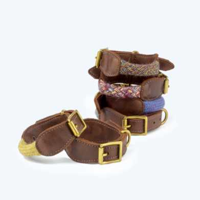 puppy collar