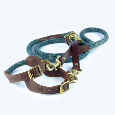 Dog lead splitter
