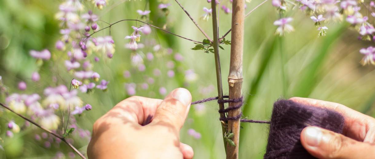 twine banner image 2