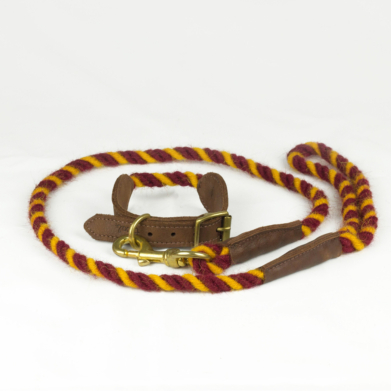 Puppy collar and lead set