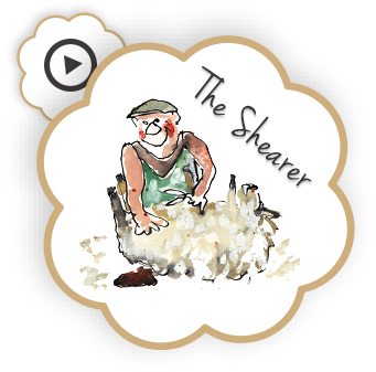 twool our story – the shearer2