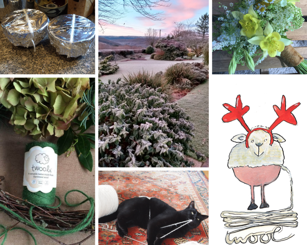 12 days of Christmas for twool - collage of pictures