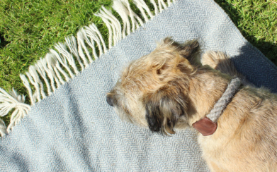 Tweed rugs – Rugletons