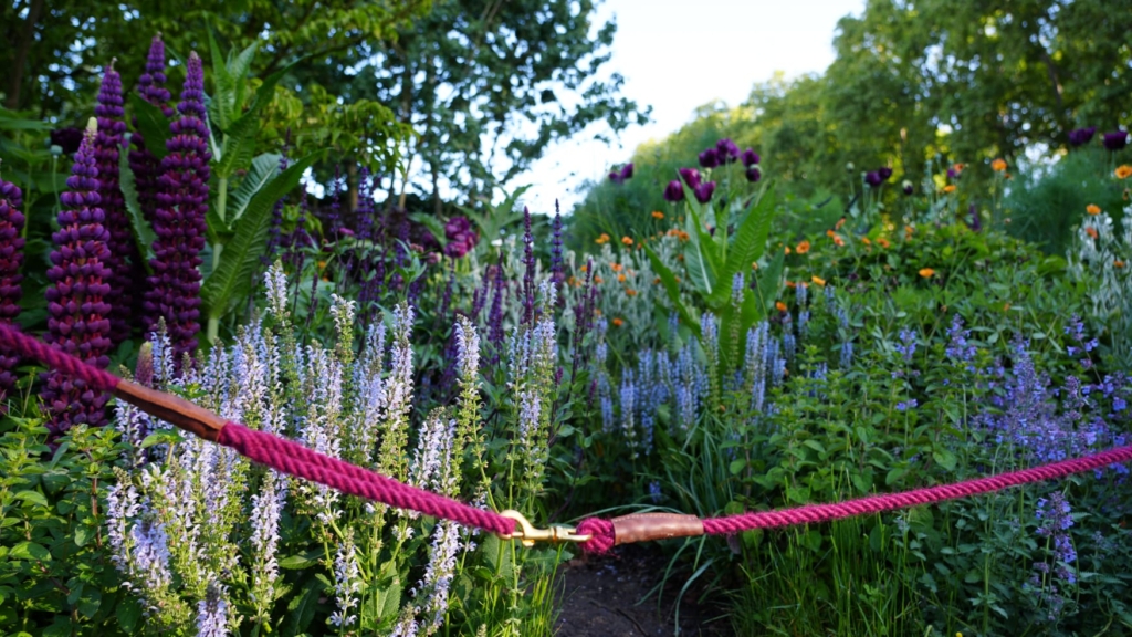 The Monty Don Dog Garden at Chelsea Flower Show with twool dog leads