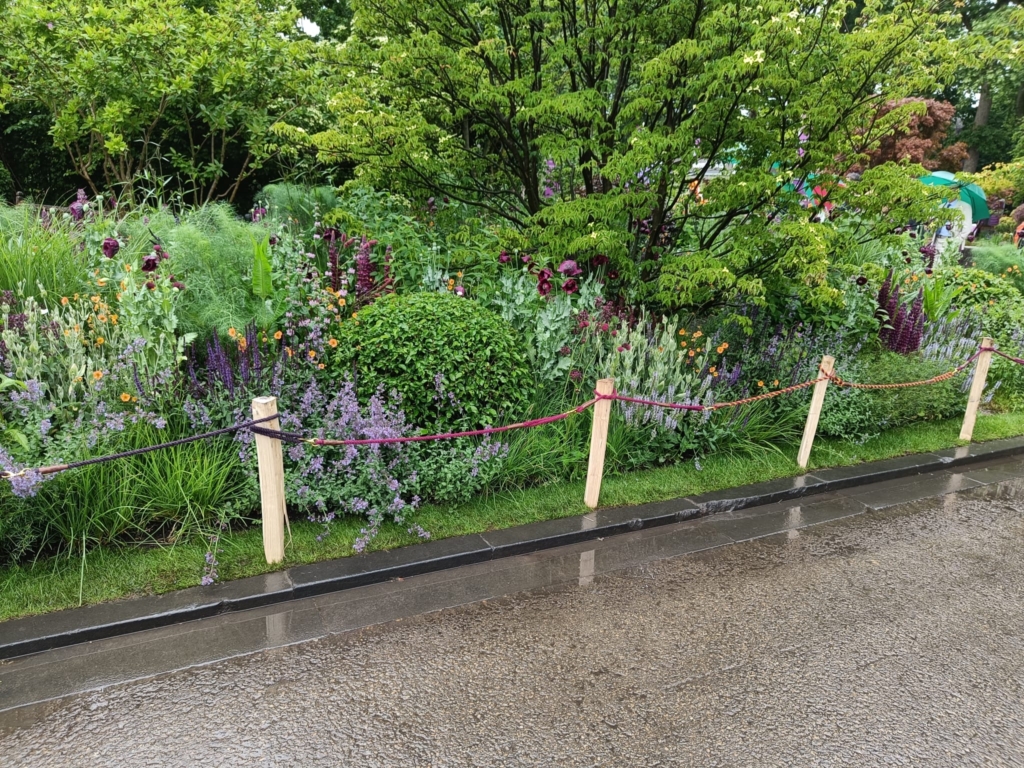 twool dog lead edging of the dog friendly garden
